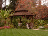 encinitas garden wedding.